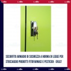 Securfito Armadio di sicurezza a norma di legge per stoccaggio prodotti fitofarmaci e pesticidi -  ERLG7