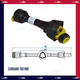 CARDANO T60 800 - SABA