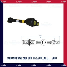Cardano bwwe 2480 0810 1b/2a collar l.t. - SABA