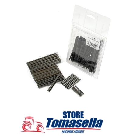 Assortimento spine elastiche - 3 - 10mm, 32 pz Agripak.